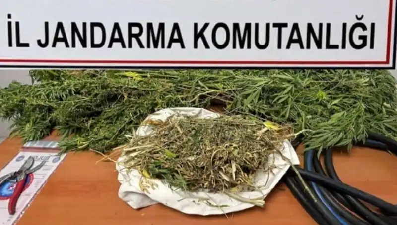 Niğde’deki Uyuşturucu Operasyonunda Beş Kişi Gözaltına Alındı