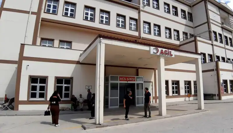 Bolu'da Ayı Avı Kararı: Doğa Koruma mı, Gelenek mi?