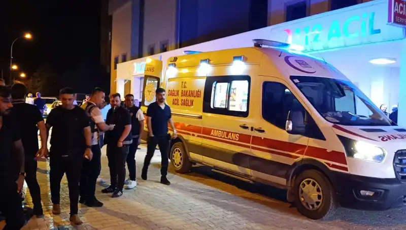 Kardeşini Kurtarmaya Çalışan Genç, Trajik Bir Olayda Hayatını Kaybetti