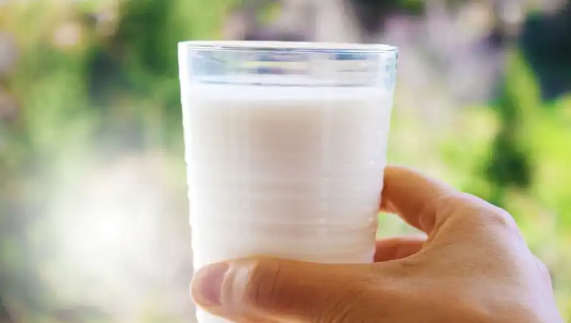 Uzman Doktor, Sütün Şişkinliğe Yol Açıp Açmadığını Açıkladı!