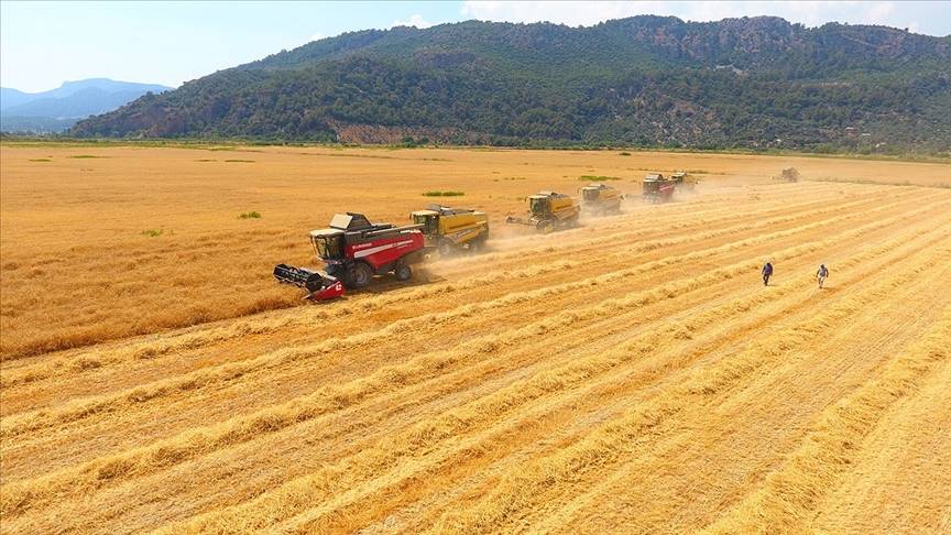 Tarımsal Emtia Fiyatlarının Yüksek Seyretmesi Bekleniyor