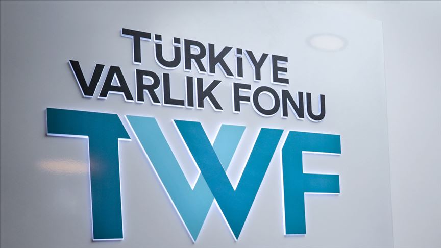 Türkiye Varlık Fonu, Kardemir Hissesi Satın Aldı