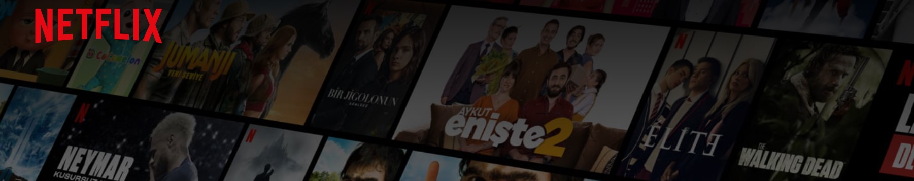 Netflix Şifresini Başkalarıyla Paylaşmak Suç Sayılacak!