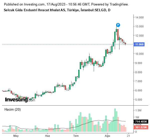 SELGD Hisse Grafiği 17 Ağustos 2023