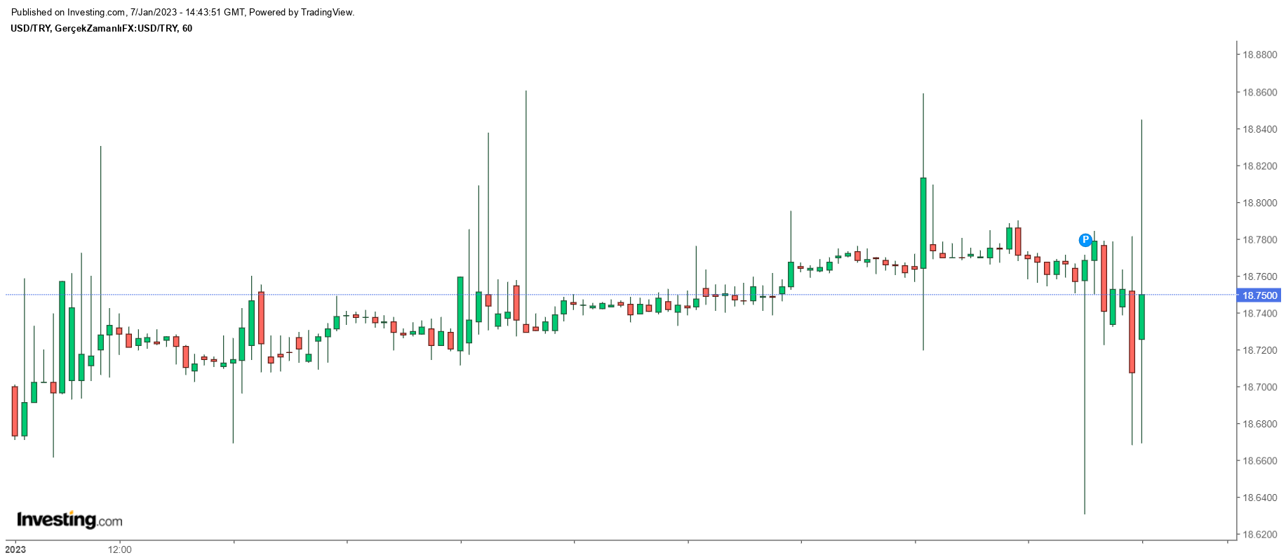 Dolar/TL Bu Hafta Ne Kadar Arttı?