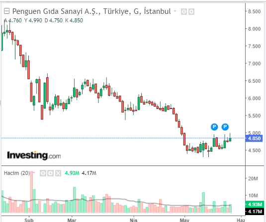 Penguen Gıda Sanayi A.Ş. (PENGD)