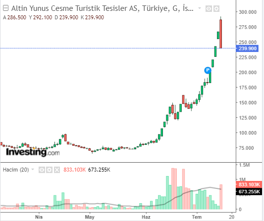 Altın Yunus Çeşme Turistik Tesisler A.Ş. (AYCES)