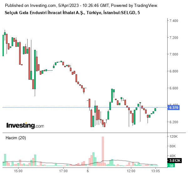 SELGD Hisse Grafiği 5 Nisan 2023