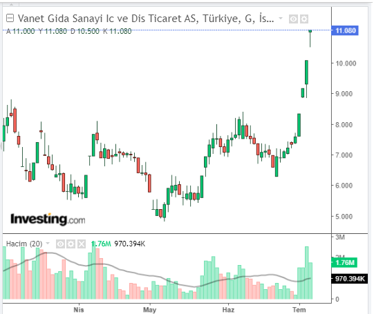 # Vanet Gıda Sanayi İç ve Dış Ticaret A.Ş. (VANGD)