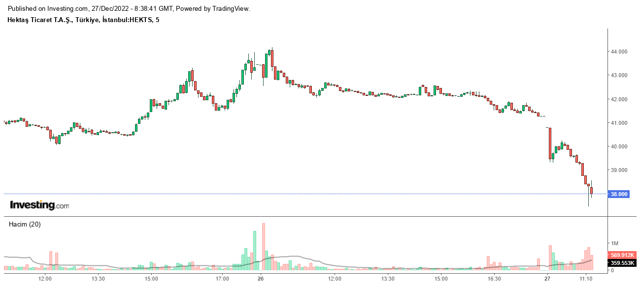 Hektaş hisseleri neden düştü