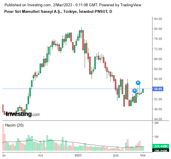 PNSUT Hisse Grafiği 2 Mart 2023