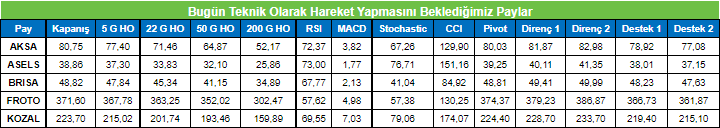 İnfo Yatırım'ın Hareket Beklediği Hisseler