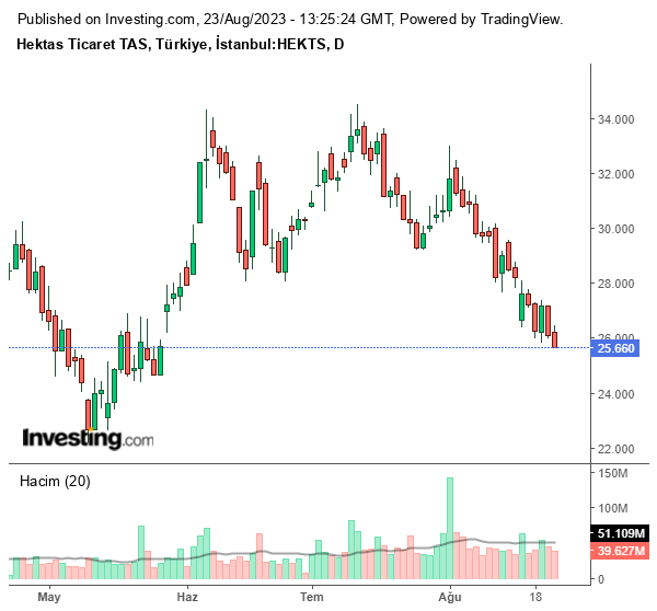 HEKTS Hisse Grafiği (23 Ağustos 2023)