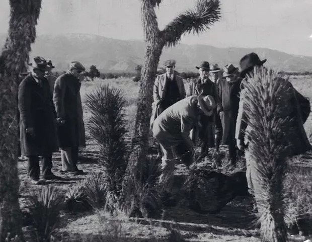 Wineville Tavuk Kümesi Cinayetleri