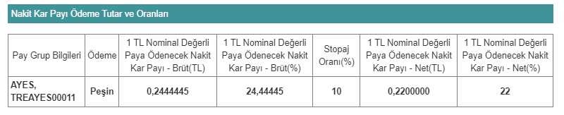 ayes temettü 