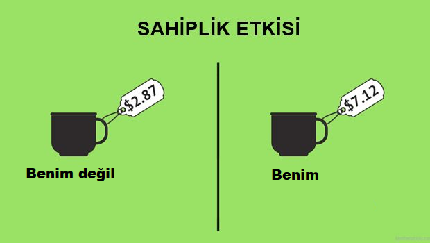 Sahiplik Etkisi