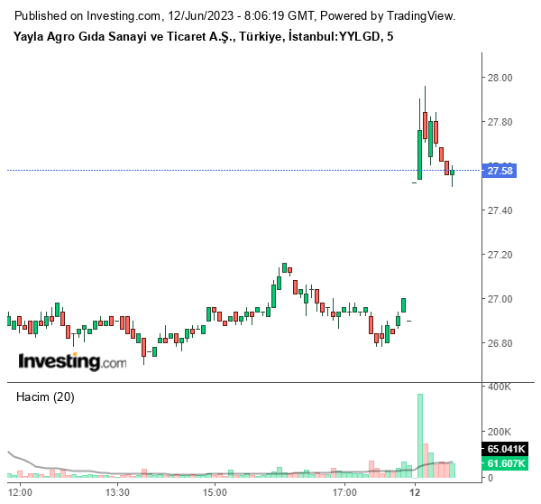 YYLGD Hisse Grafiği 12 Haziran 2023