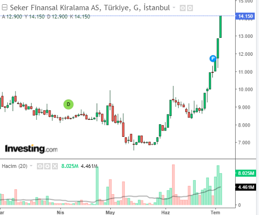 # Şeker Finansal Kiralama A.Ş. (SEKFK)