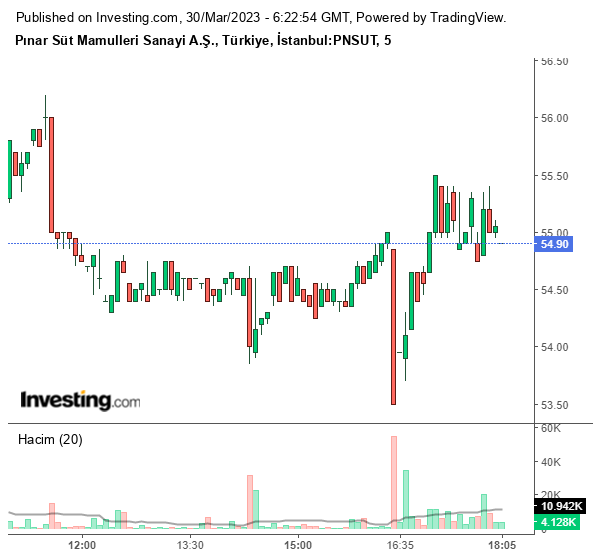 PNSUT Hisse Grafiği 30 Mart 2023