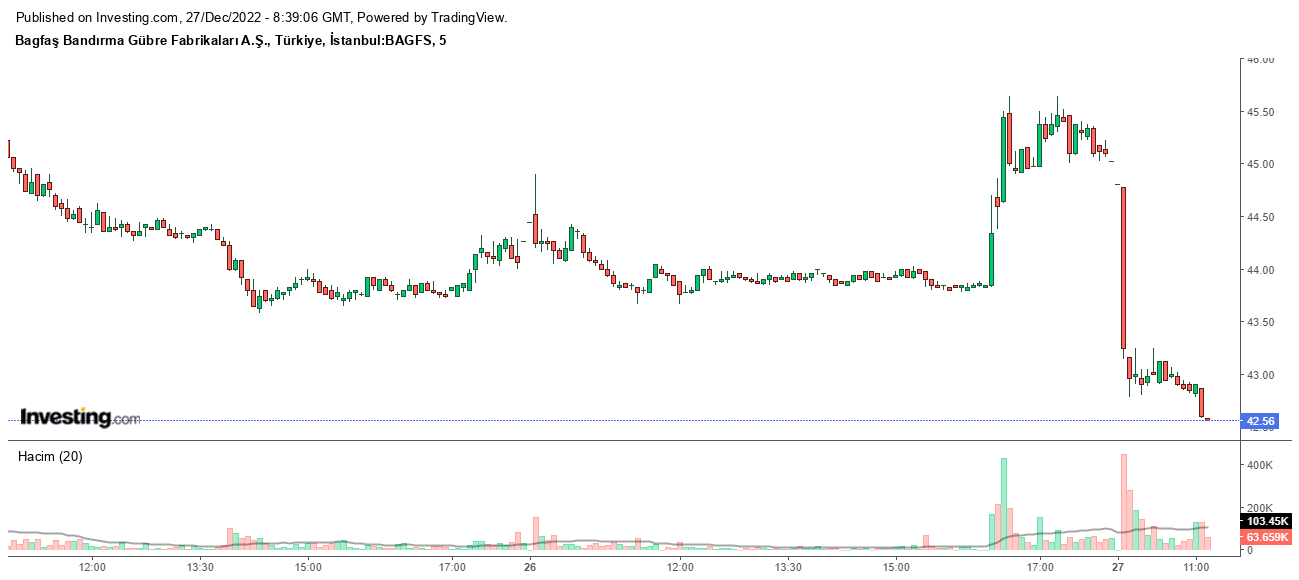 Bagfaş hisseleri neden düştü