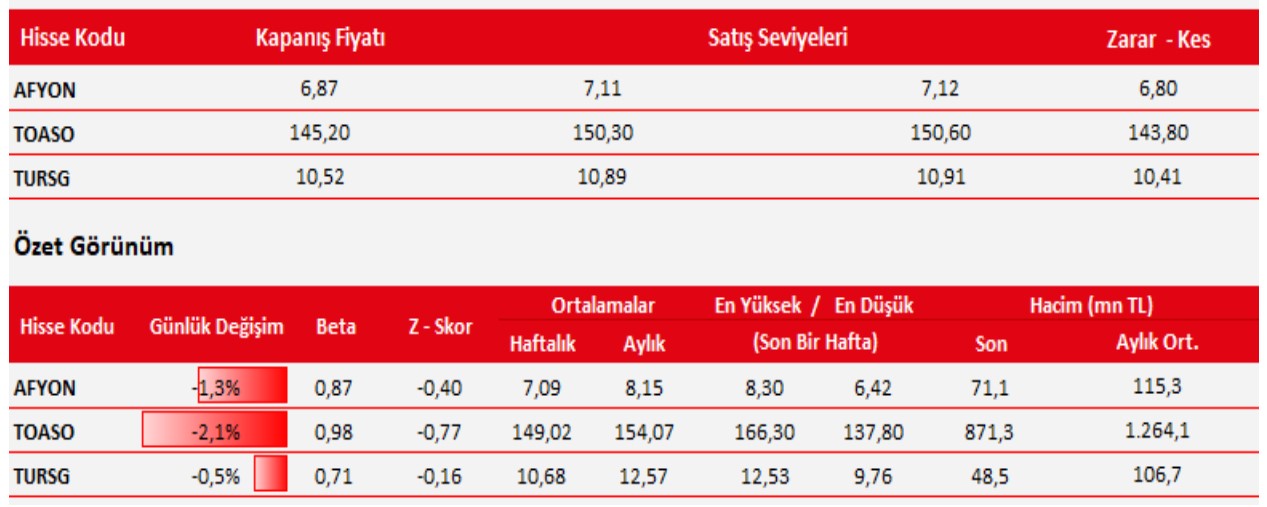 Günlük Olarak Yatırımcılara Önerilen Hisseler (17 Ocak 2023)