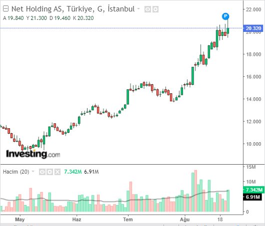 Net Holding A.Ş. (NTHOL) Hisse Grafiği