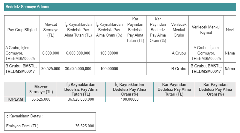 BMS Birleşik Metal Sanayi ve Ticaret A.Ş. (BMSTL)