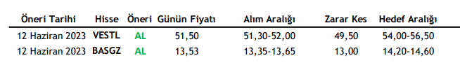 Vakıf Yatırım’dan Alım Tavsiyesi Verilen 2 Hisse