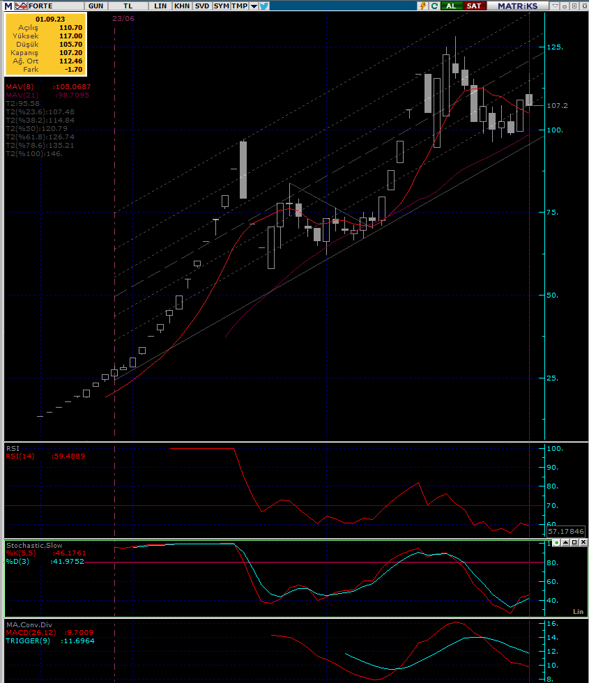 FORTE Günlük Grafik Teknik Analiz
