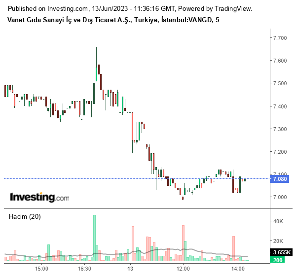 VANGD Hisse Grafiği 13 Haziran 2023