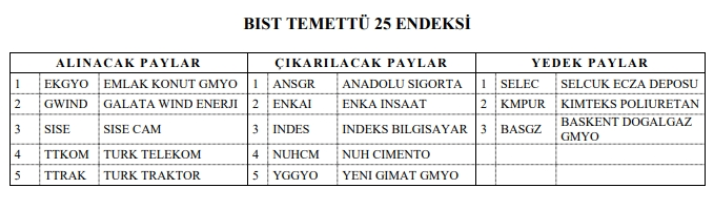 BİST TEMETTÜ 25 