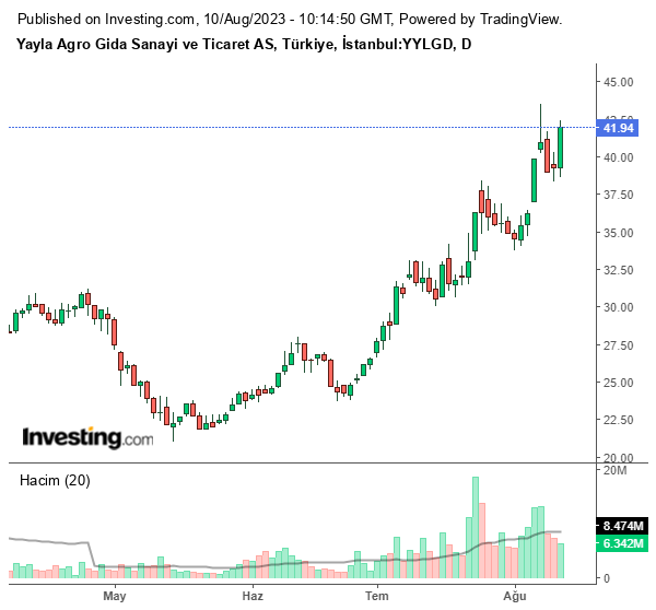 YYLGD Hisse Grafiği 10 Ağustos 2023