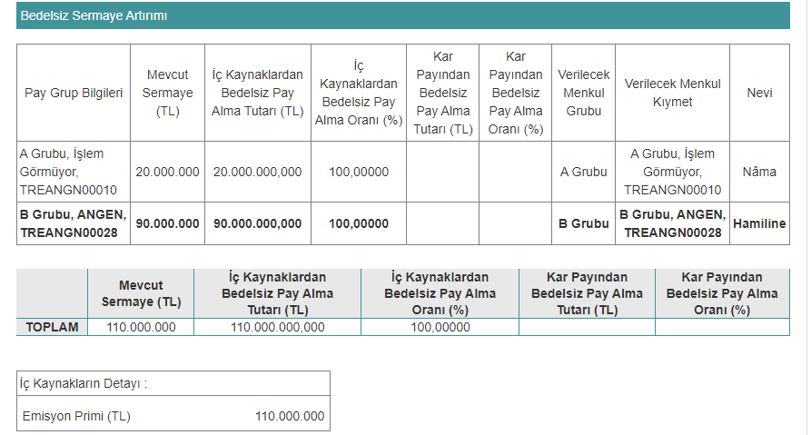 ANGEN BEDELSİZ SERMAYA ARTIRIMI