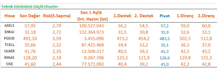 Al Uyarısı Verilen Hisseler