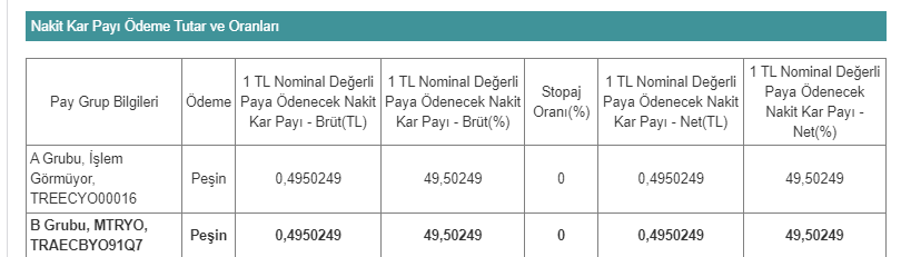 METRO YATIRIM ORTAKLIĞI