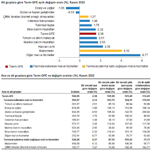 TUİK GİRDİ FİYAT ENDEKSİ 20 OCAK 