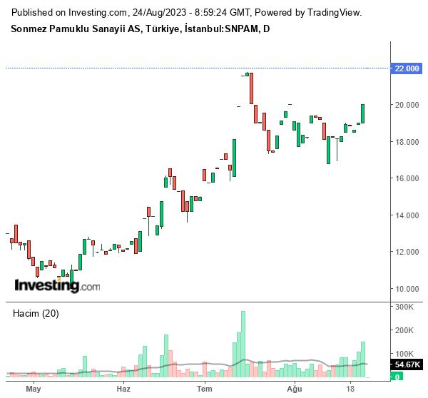 SNPAM Hisse Grafiği 24 Ağustos 2023