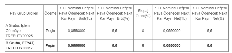 Euro Trend Yatırım Ortaklığı A.Ş. (ETYAT) 2023 Temettü 