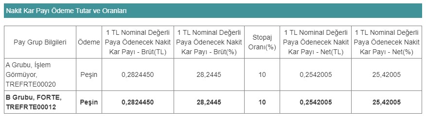 FORTE 2023 Temettü Kararı