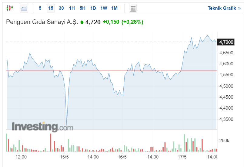 PENGD Hisse Senedi Yükselir Mi?