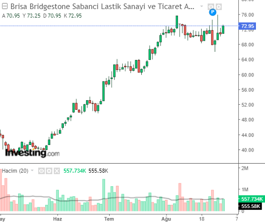 BRISA Hisse Grafiği 