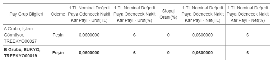 Euro Kapital Yatırım Ortaklığı A.Ş. (EUKYO)