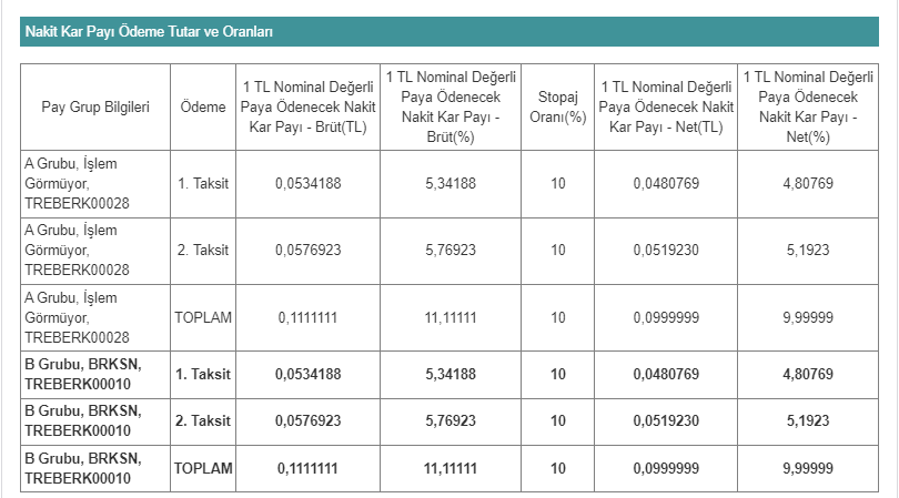 BRKSN Ne Kadar Temettü Ödeyecek?