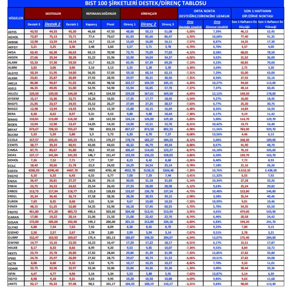 BIST 100 Şirketleri Destek/Direnç Tablosu