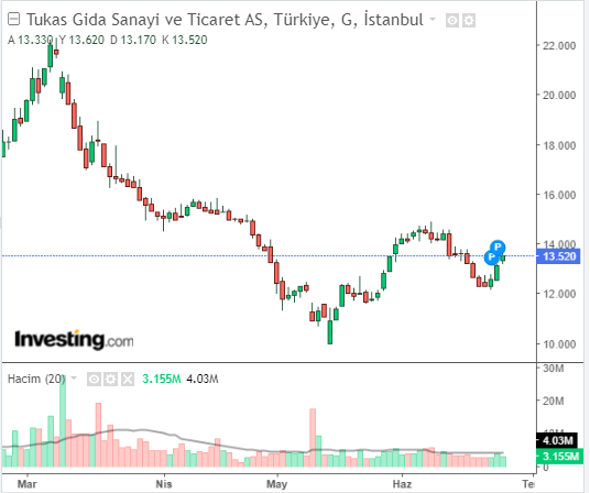 Tukaş Gıda Sanayi ve Ticaret A.Ş. (TUKAS)