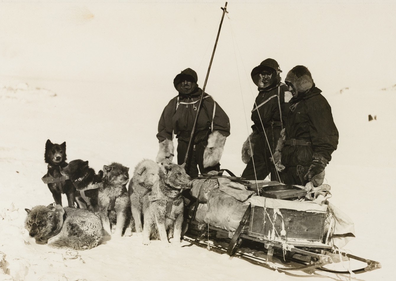 Douglas Mawson'un Hayatta Kalma Mücadelesi