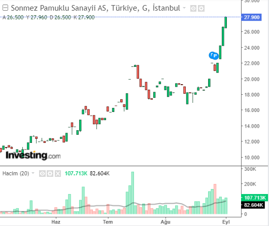 SNPAM Hisse Grafiği