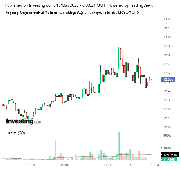 RYGYO Hisse Grafiği 15 Mart 2023