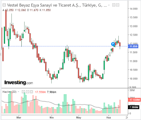 Vestel Beyaz Eşya Sanayi ve Ticaret A.Ş. (VESBE)