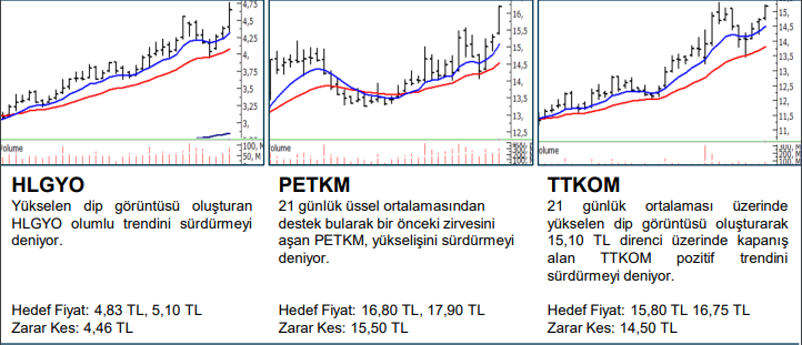 PETKM, TTKOM VE HLGYO Hedef Fiyatları